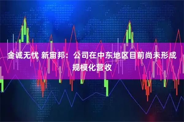 金诚无忧 新宙邦：公司在中东地区目前尚未形成规模化营收