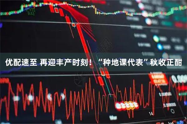优配速至 再迎丰产时刻！“种地课代表”秋收正酣