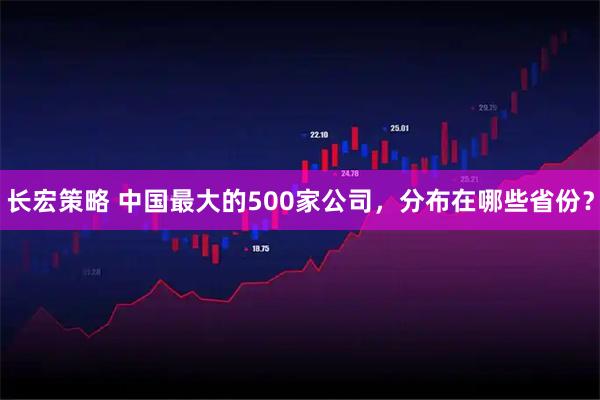 长宏策略 中国最大的500家公司，分布在哪些省份？