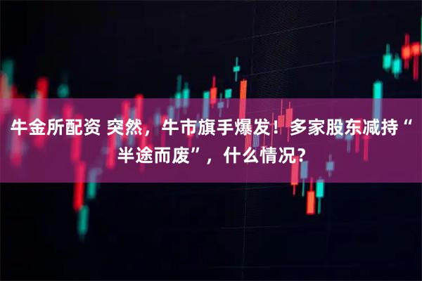 牛金所配资 突然，牛市旗手爆发！多家股东减持“半途而废”，什么情况？