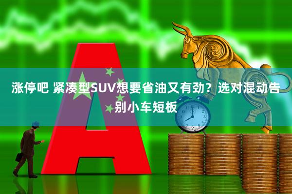 涨停吧 紧凑型SUV想要省油又有劲？选对混动告别小车短板