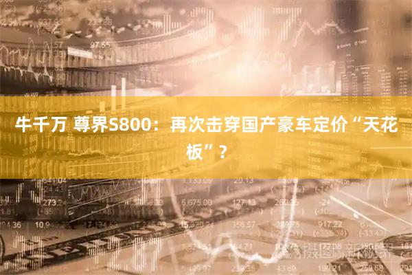 牛千万 尊界S800：再次击穿国产豪车定价“天花板”？