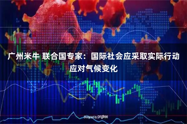 广州米牛 联合国专家：国际社会应采取实际行动应对气候变化