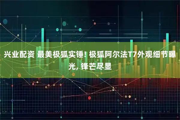 兴业配资 最美极狐实锤! 极狐阿尔法T7外观细节曝光, 锋芒尽显